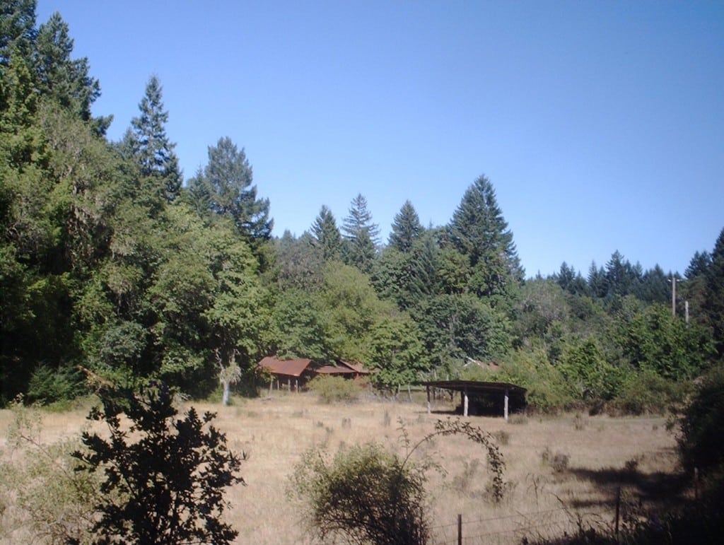 IMAG0003 Redwood Properties