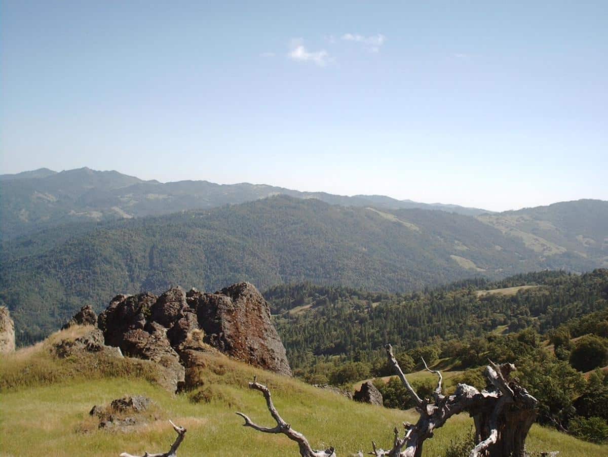 IMAG0049 Redwood Properties